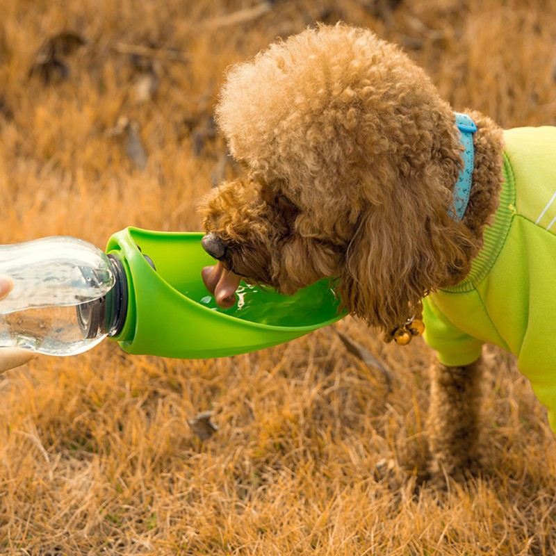 Mobiler Wasserspender / Trinkflasche für Hunde & Katzen für unterwegs