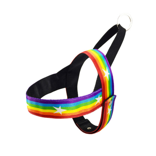 Cooles Regenbogen-Hundegeschirr & Hundeleine LGBTQ Pride