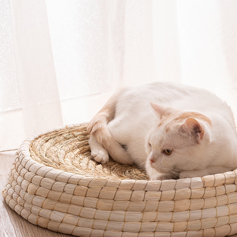 Katzenbett mit schöner Form zum Liegen aus Stroh