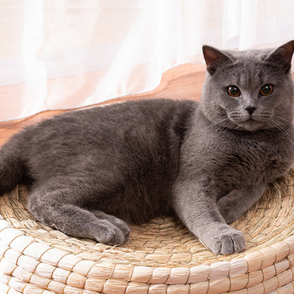 Katzenbett mit schöner Form zum Liegen aus Stroh