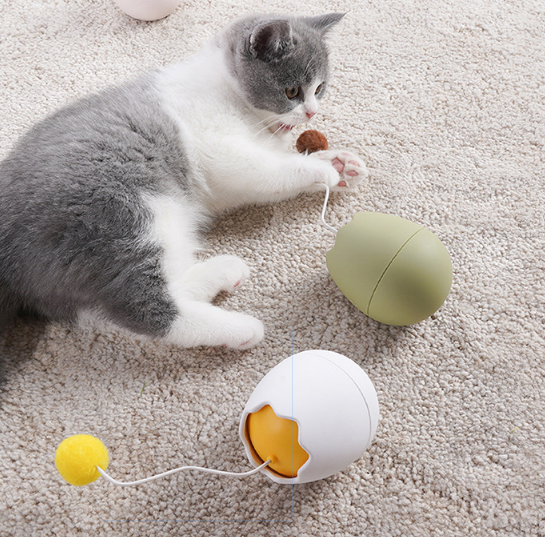 Lustiges elektrisches Katzenspielzeug als Ei mit Ball