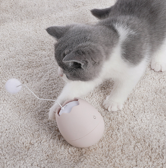 Lustiges elektrisches Katzenspielzeug als Ei mit Ball