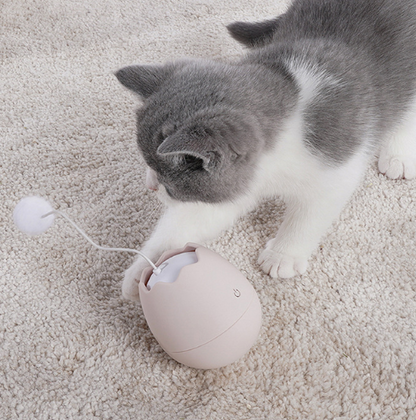 Lustiges elektrisches Katzenspielzeug als Ei mit Ball