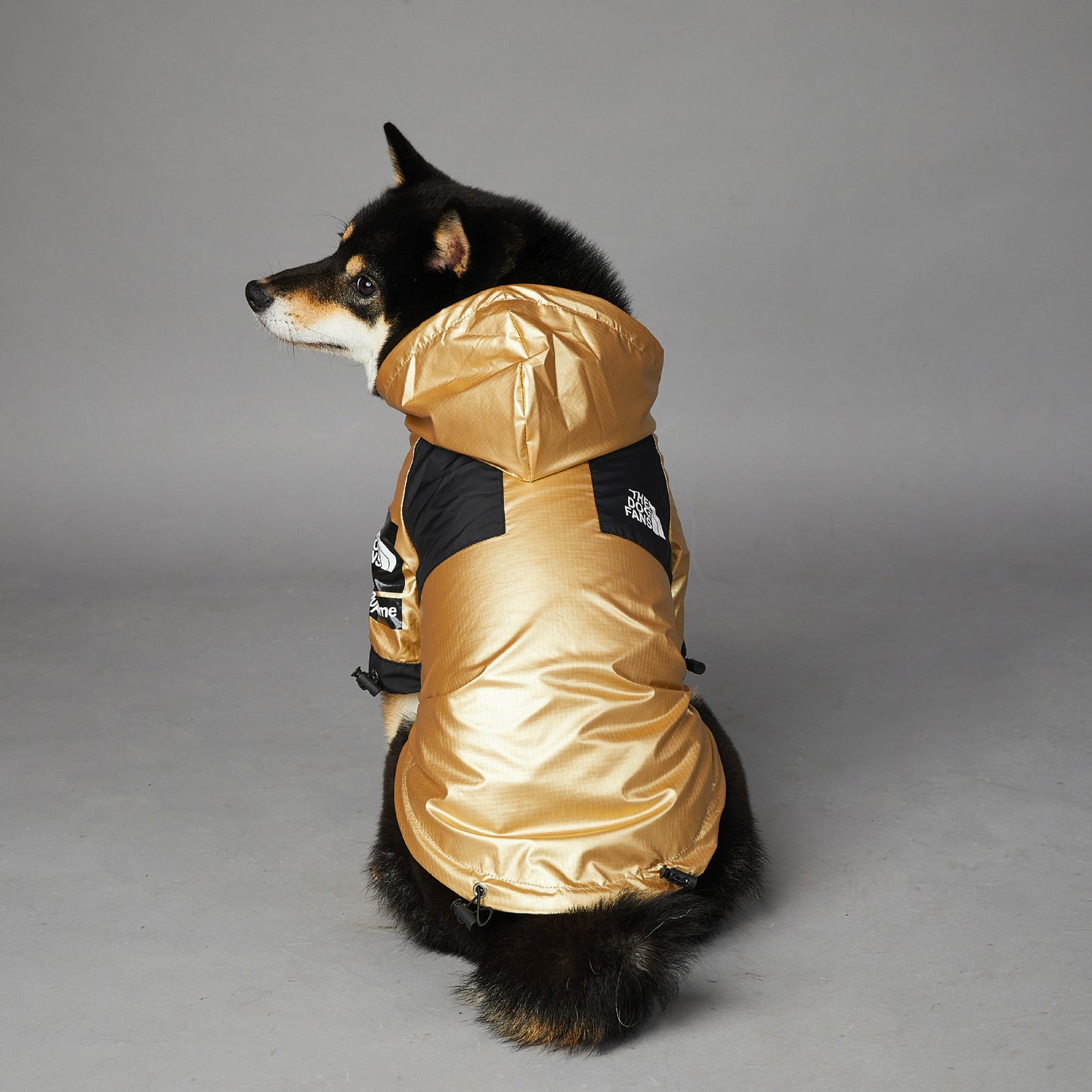 Cooler Hunde-Regenmantel mit Kapuze | Hundejacke