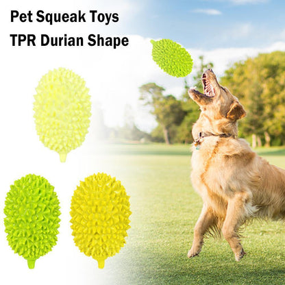 Squeaky Dog Bite &amp; Chew Toy / Dental Grooming