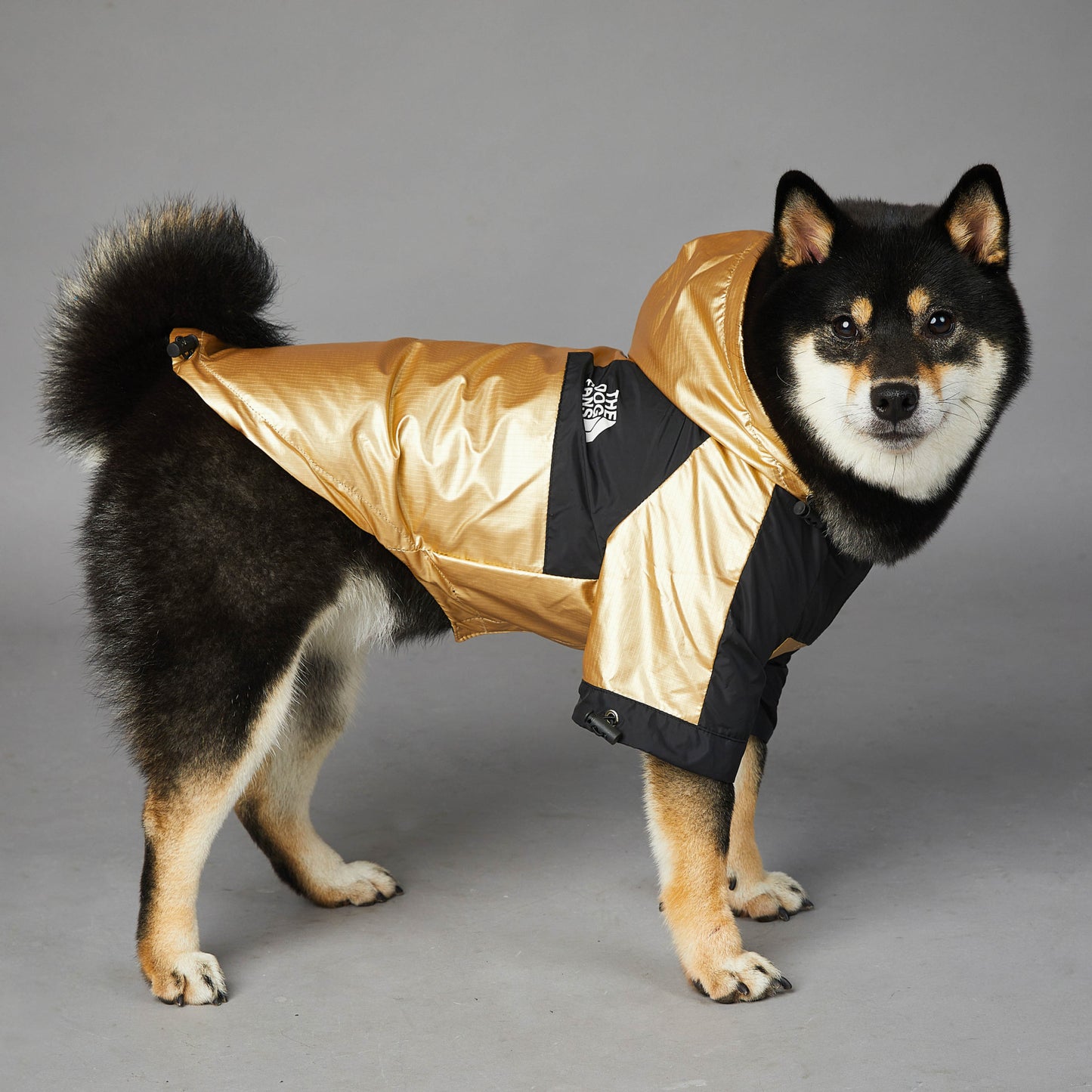 Cooler Hunde-Regenmantel mit Kapuze | Hundejacke