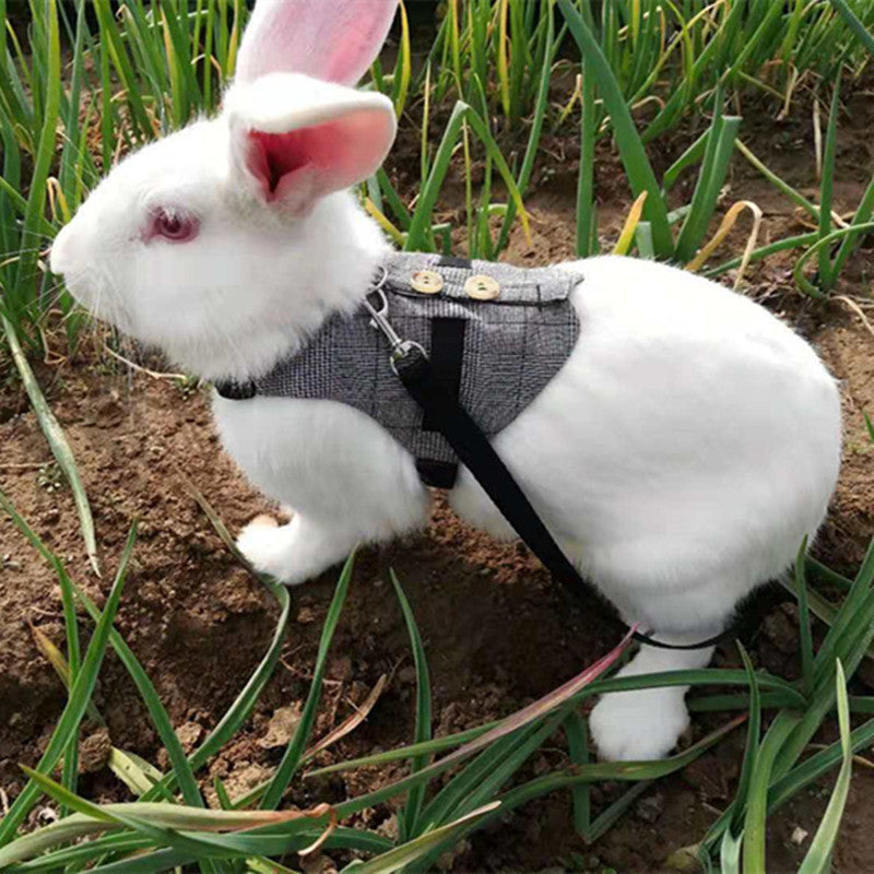 Schickes Hasen Kaninchen-Geschirr / Anzug mit verstellbarer Leine