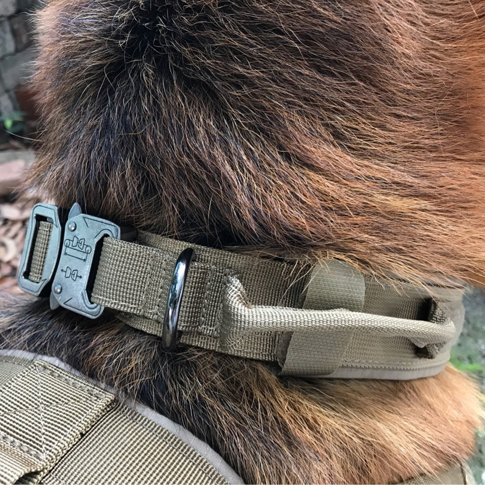 Hundehalsband in Armeefarben sehr Strapazierfähig aus Nylon