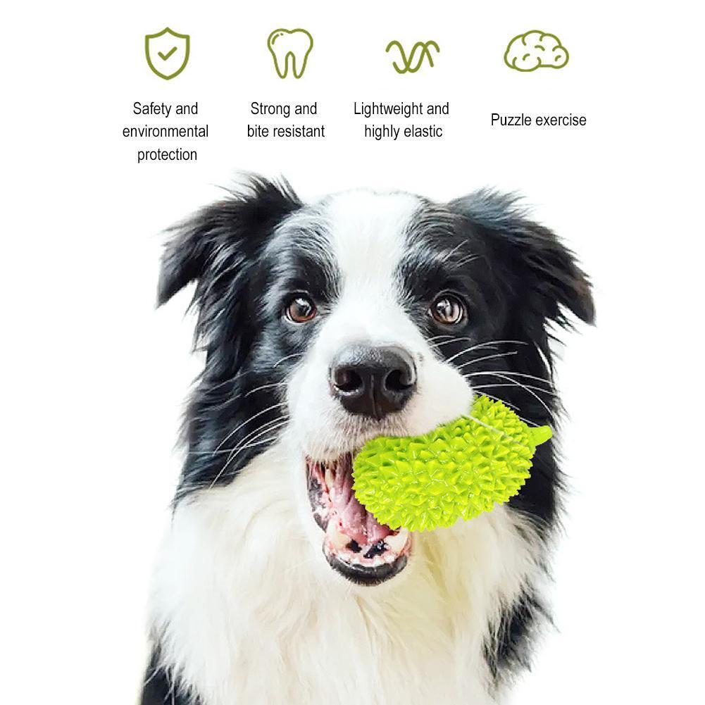 Squeaky Dog Bite &amp; Chew Toy / Dental Grooming